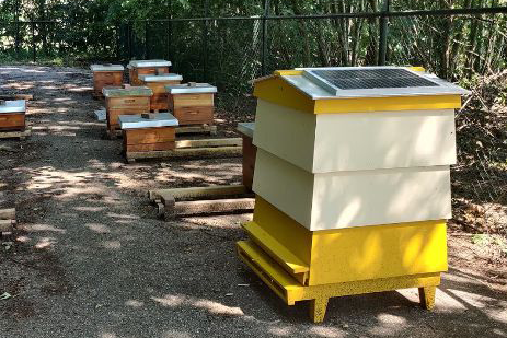 Bijenkasten van Arista Bee Research op de Eiwitcampus