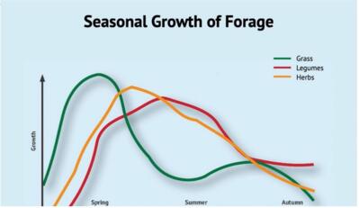 Grafiek groei gras en kruiden