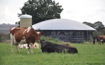 Samenwerkende veehouders willen groengas hub in de Peel realiseren