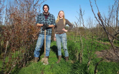 Agroforestry biedt boeren in de Peel kansen